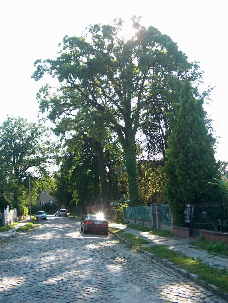 eichwalde_zillestrasse